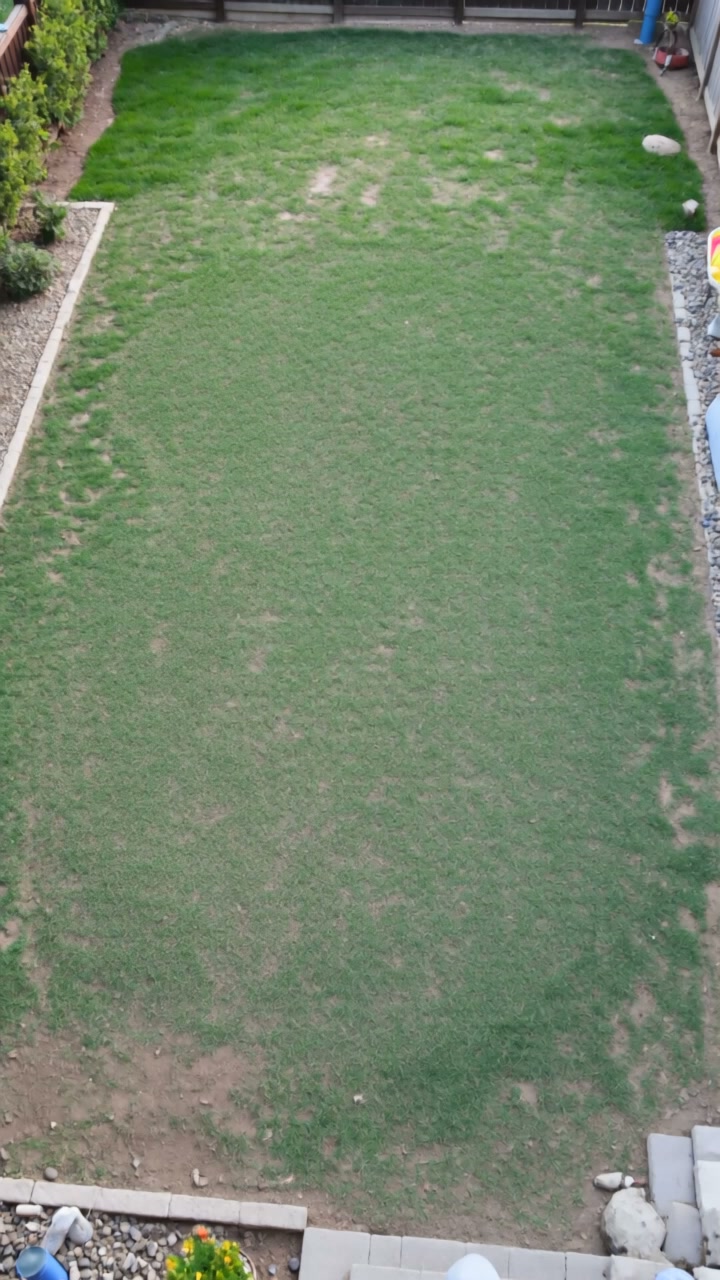 Fast-paced timelapse from a high angle:...